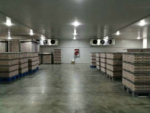 食品冷库——南京大学-南京